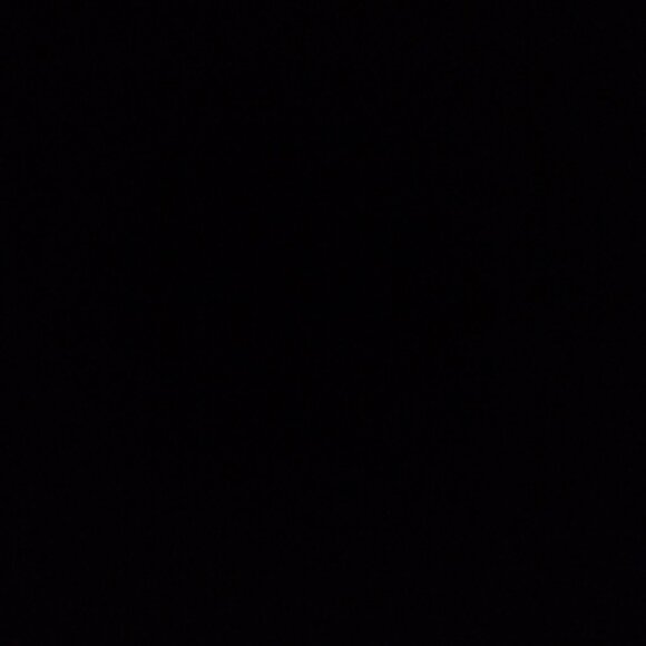 Meet your Posher, Sabio - Picture 1 of 1